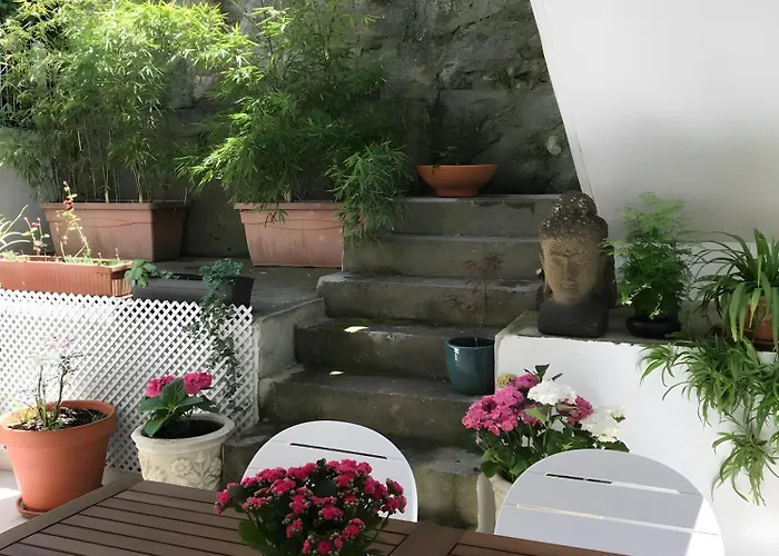 Vegan Patio - Douro E Ribeira Vila Nova de Gaia